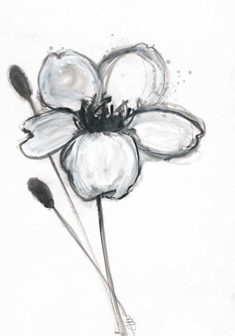 Snow Blossom 1 Black Ornate Wood Framed Art Print with Double Matting by Ioco, Filippo