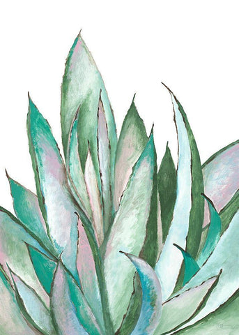Aloe Succulent White Modern Wood Framed Art Print with Double Matting by Loco, Filippo
