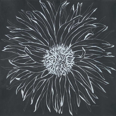 Chalk Bloom 1 Black Modern Wood Framed Art Print by Adams, Connor