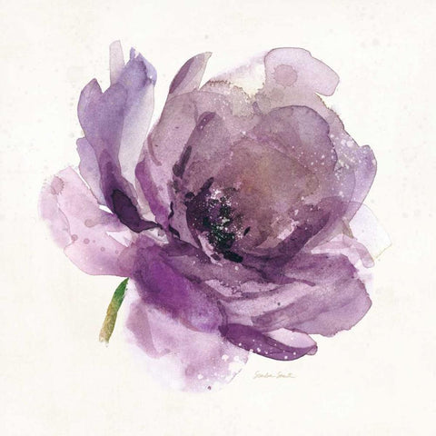 Watery Plum Bloom 1 White Modern Wood Framed Art Print by Smith, Sandra