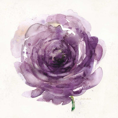 Watery Plum Bloom 2 Black Ornate Wood Framed Art Print with Double Matting by Smith, Sandra