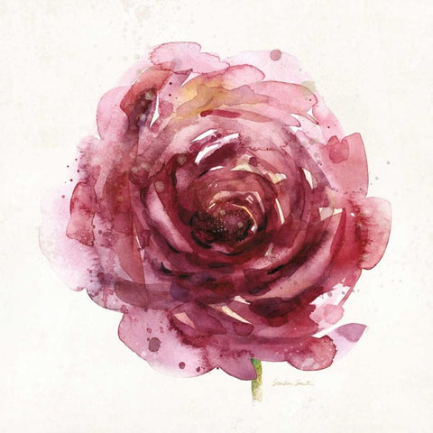 Watery Red Bloom 1 Gold Ornate Wood Framed Art Print with Double Matting by Smith, Sandra