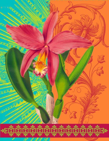 Radiant Orchid White Modern Wood Framed Art Print with Double Matting by Robertson, Walter