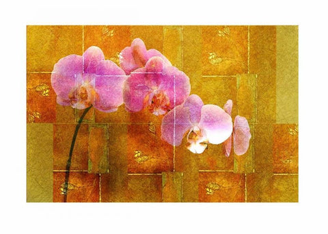 Sheer Pink Orhcid Black Ornate Wood Framed Art Print with Double Matting by Robertson, Walter