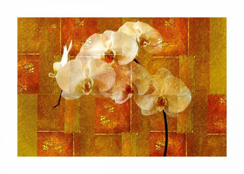 Sheer White Orchid Black Ornate Wood Framed Art Print with Double Matting by Robertson, Walter