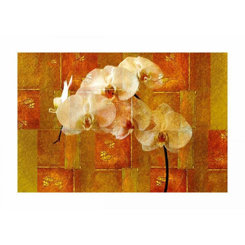 Sheer White Orchid Gold Ornate Wood Framed Art Print with Double Matting by Robertson, Walter