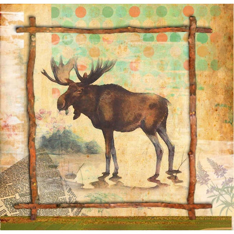 Moose Nature White Modern Wood Framed Art Print by Robertson, Walter