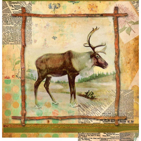 Elk Nature Black Modern Wood Framed Art Print with Double Matting by Robertson, Walter