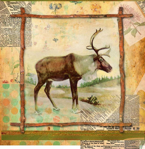 Elk Nature Black Ornate Wood Framed Art Print with Double Matting by Robertson, Walter
