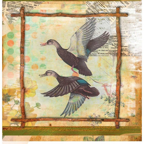 Duck Nature Black Modern Wood Framed Art Print by Robertson, Walter