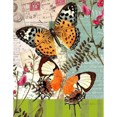 Bountiful Butterfly 1 White Modern Wood Framed Art Print by Robertson, Walter
