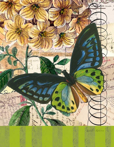 Bountiful Butterfly 2 White Modern Wood Framed Art Print with Double Matting by Robertson, Walter