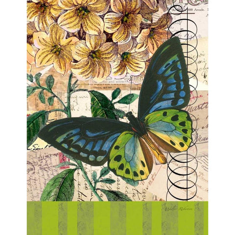 Bountiful Butterfly 2 Black Modern Wood Framed Art Print by Robertson, Walter