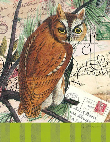 Curious Owl 2 Black Ornate Wood Framed Art Print with Double Matting by Robertson, Walter