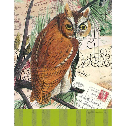 Curious Owl 2 Black Modern Wood Framed Art Print with Double Matting by Robertson, Walter
