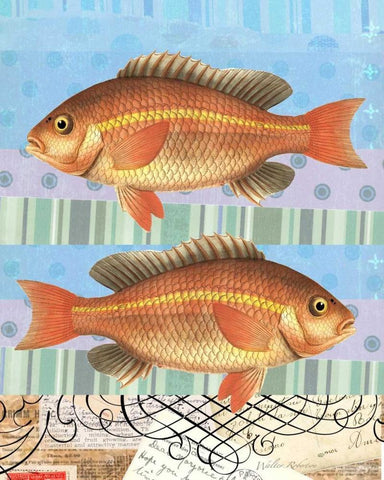 Double Fish Flourish Black Ornate Wood Framed Art Print with Double Matting by Robertson, Walter