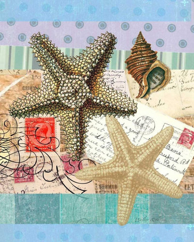Starfish Elements Black Ornate Wood Framed Art Print with Double Matting by Robertson, Walter