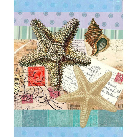 Starfish Elements White Modern Wood Framed Art Print by Robertson, Walter