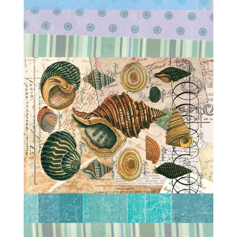 Nautilus Elements White Modern Wood Framed Art Print by Robertson, Walter