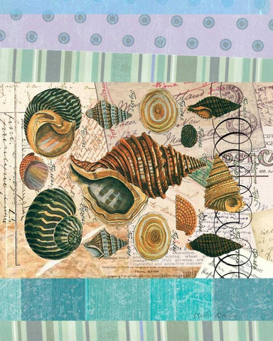 Nautilus Elements White Modern Wood Framed Art Print with Double Matting by Robertson, Walter