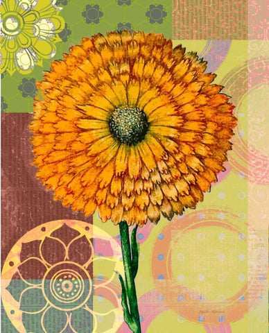 Zinnia Story Black Ornate Wood Framed Art Print with Double Matting by Robertson, Walter