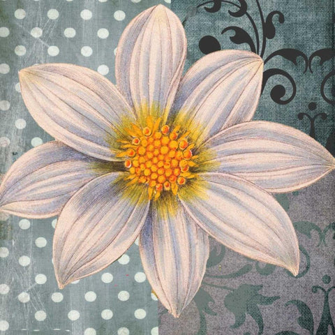 Polka Dot Dahlia 1 Black Ornate Wood Framed Art Print with Double Matting by Robertson, Walter