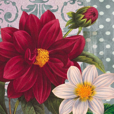 Red Dahlia White Modern Wood Framed Art Print with Double Matting by Robertson, Walter