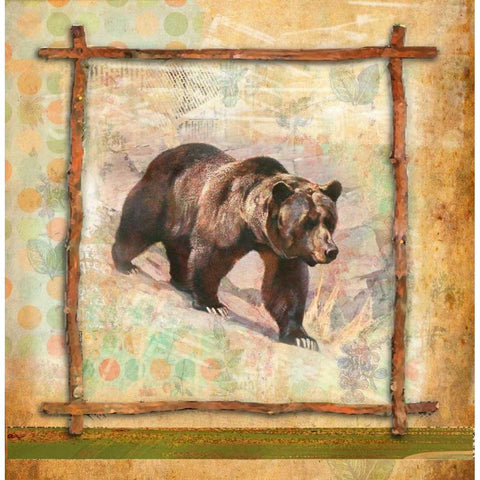Bear Nature White Modern Wood Framed Art Print by Robertson, Walter