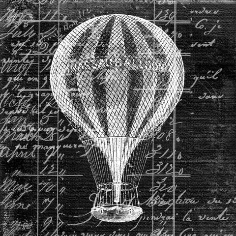 Up And Away 1 Black Ornate Wood Framed Art Print with Double Matting by Robertson, Walter