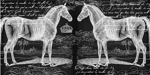 Filigree Horse White Modern Wood Framed Art Print with Double Matting by Robertson, Walter