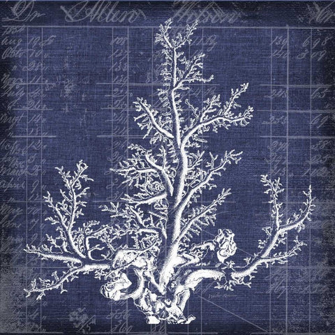 Seaweed Document 2 Gold Ornate Wood Framed Art Print with Double Matting by Robertson, Walter