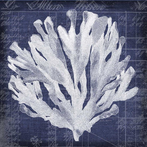 Seaweed Document 3 Black Ornate Wood Framed Art Print with Double Matting by Robertson, Walter