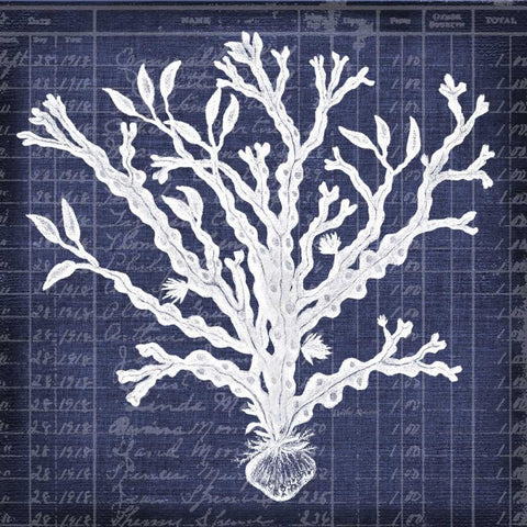Seaweed Document 4 Black Modern Wood Framed Art Print by Robertson, Walter
