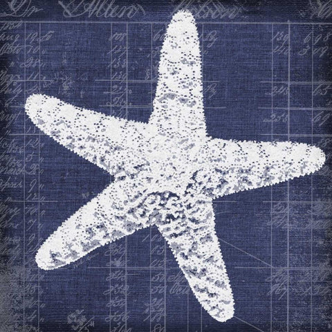 Blue Print Star Fish Black Modern Wood Framed Art Print by Robertson, Walter