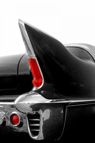 Black Tailfin White Modern Wood Framed Art Print with Double Matting by McCarthy, Matt