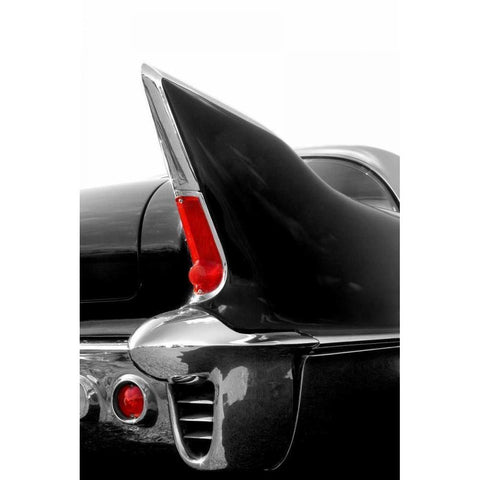 Black Tailfin Black Modern Wood Framed Art Print by McCarthy, Matt