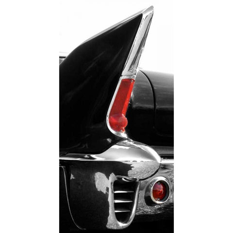 Black Tailfin Black Modern Wood Framed Art Print by McCarthy, Matt