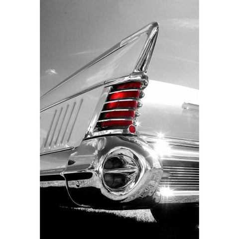 White Tailfin Black Modern Wood Framed Art Print with Double Matting by McCarthy, Matt