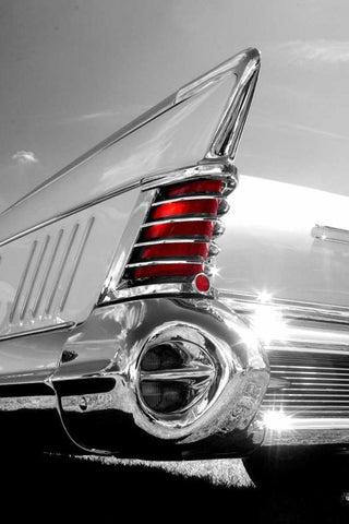 White Tailfin White Modern Wood Framed Art Print with Double Matting by McCarthy, Matt