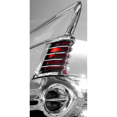 White Tailfin Black Modern Wood Framed Art Print with Double Matting by McCarthy, Matt