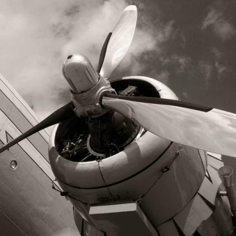 Towards the Sky Black Modern Wood Framed Art Print with Double Matting by McCarthy, Matt