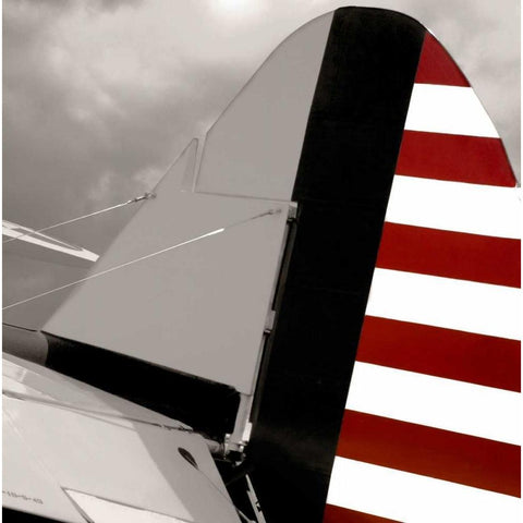 Flight Ready Gold Ornate Wood Framed Art Print with Double Matting by McCarthy, Matt