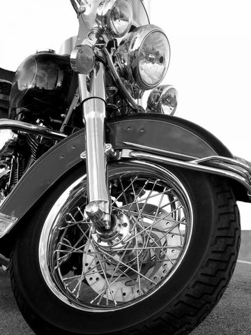 Front Fork White Modern Wood Framed Art Print with Double Matting by McCarthy, Matt