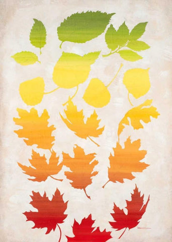 Rainbow of Leaves White Modern Wood Framed Art Print with Double Matting by Dascher, Dennis