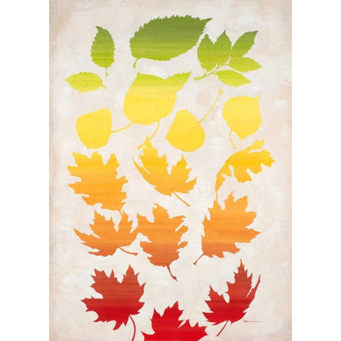 Rainbow of Leaves White Modern Wood Framed Art Print by Dascher, Dennis