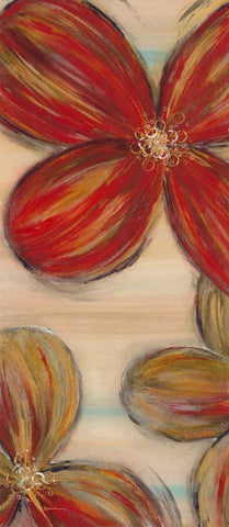 Scarlet Glory 1 White Modern Wood Framed Art Print with Double Matting by Dascher, Dennis