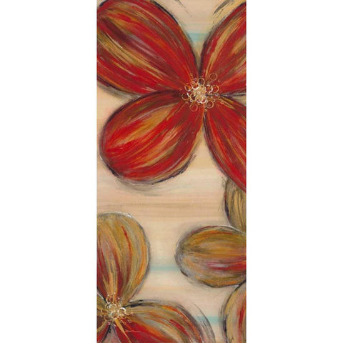 Scarlet Glory 1 Black Modern Wood Framed Art Print with Double Matting by Dascher, Dennis