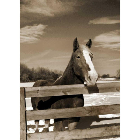 At the Ranch Black Modern Wood Framed Art Print with Double Matting by Amber Light Gallery