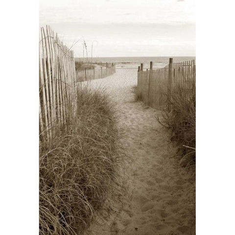 Beach Trail 1  White Modern Wood Framed Art Print by Amber Light Gallery