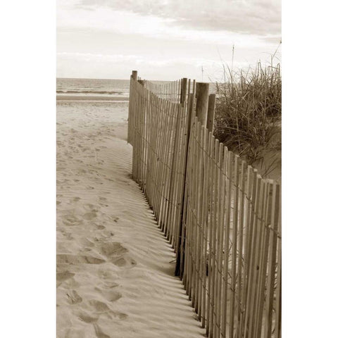 Beach Trail 2 Black Modern Wood Framed Art Print with Double Matting by Amber Light Gallery